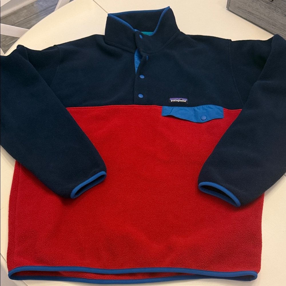 Patagonia Synchilla Fleece Pullover